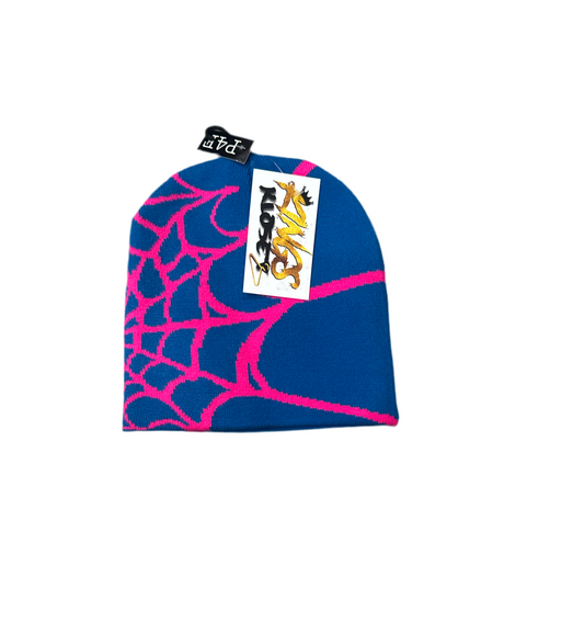 Spyder Beanie Blue and Pink